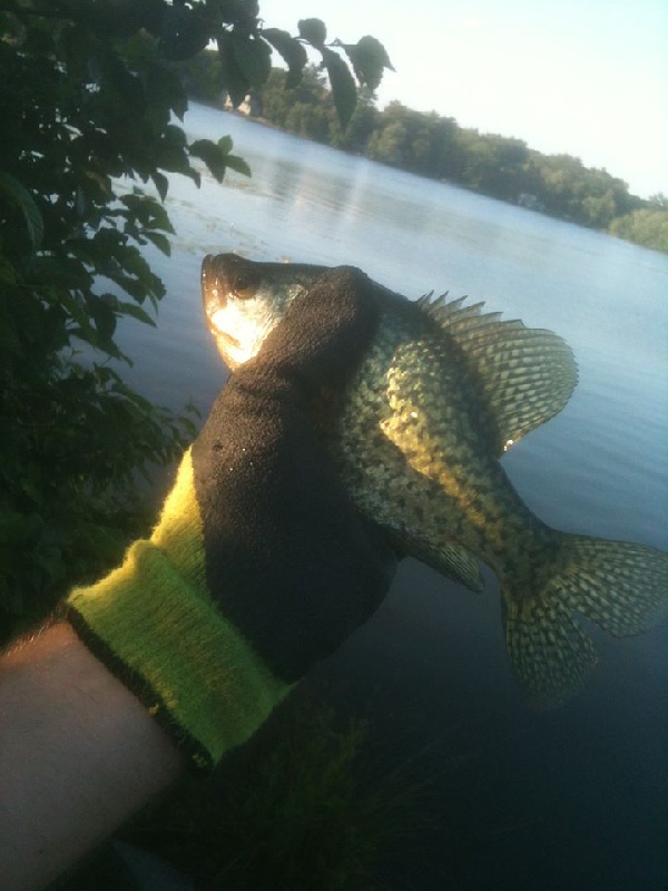 1st Crappie